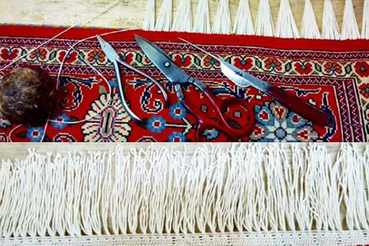 ریشه زنی